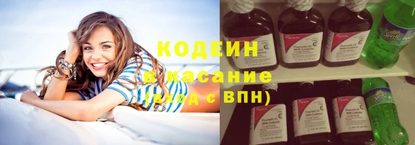 индика Россошь