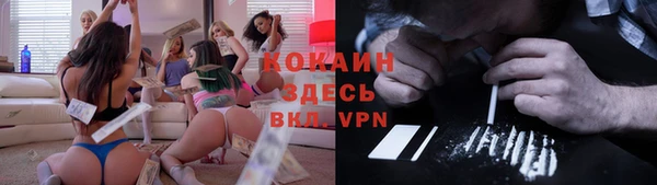 индика Россошь
