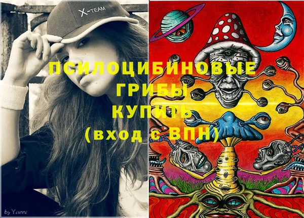соль ск Зерноград