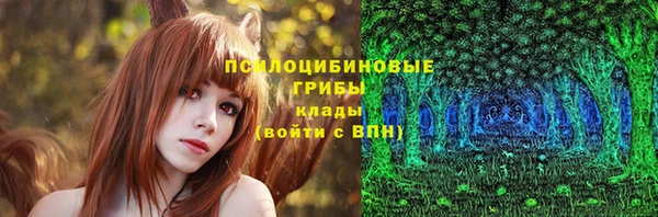 индика Россошь