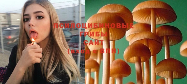 mdpv Ростов