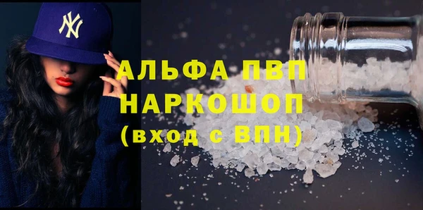 СК Куртамыш