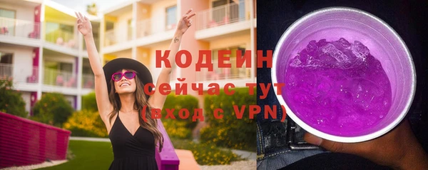 индика Россошь