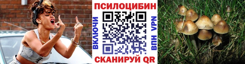 Галлюциногенные грибы Psilocybe  Славянск-на-Кубани 