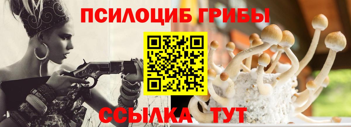 Псилоцибиновые грибы ЛСД Славянск-на-Кубани