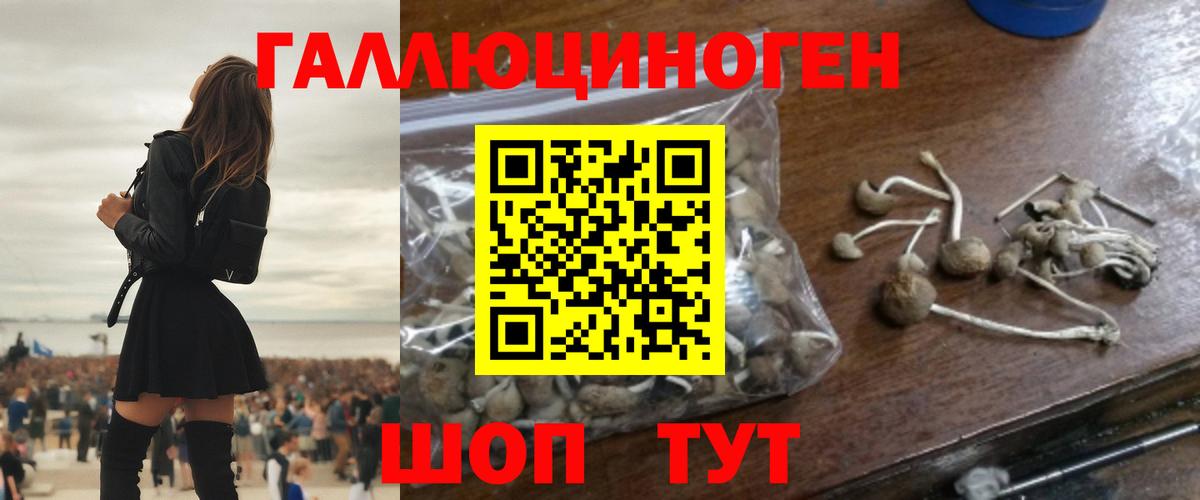 Славянск-на-Кубани  Галлюциногенные грибы мицелий  Вход с VPN 