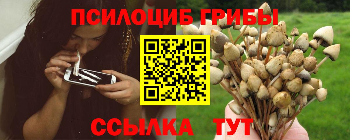 Галлюциногенные грибы Cubensis Славянск-на-Кубани